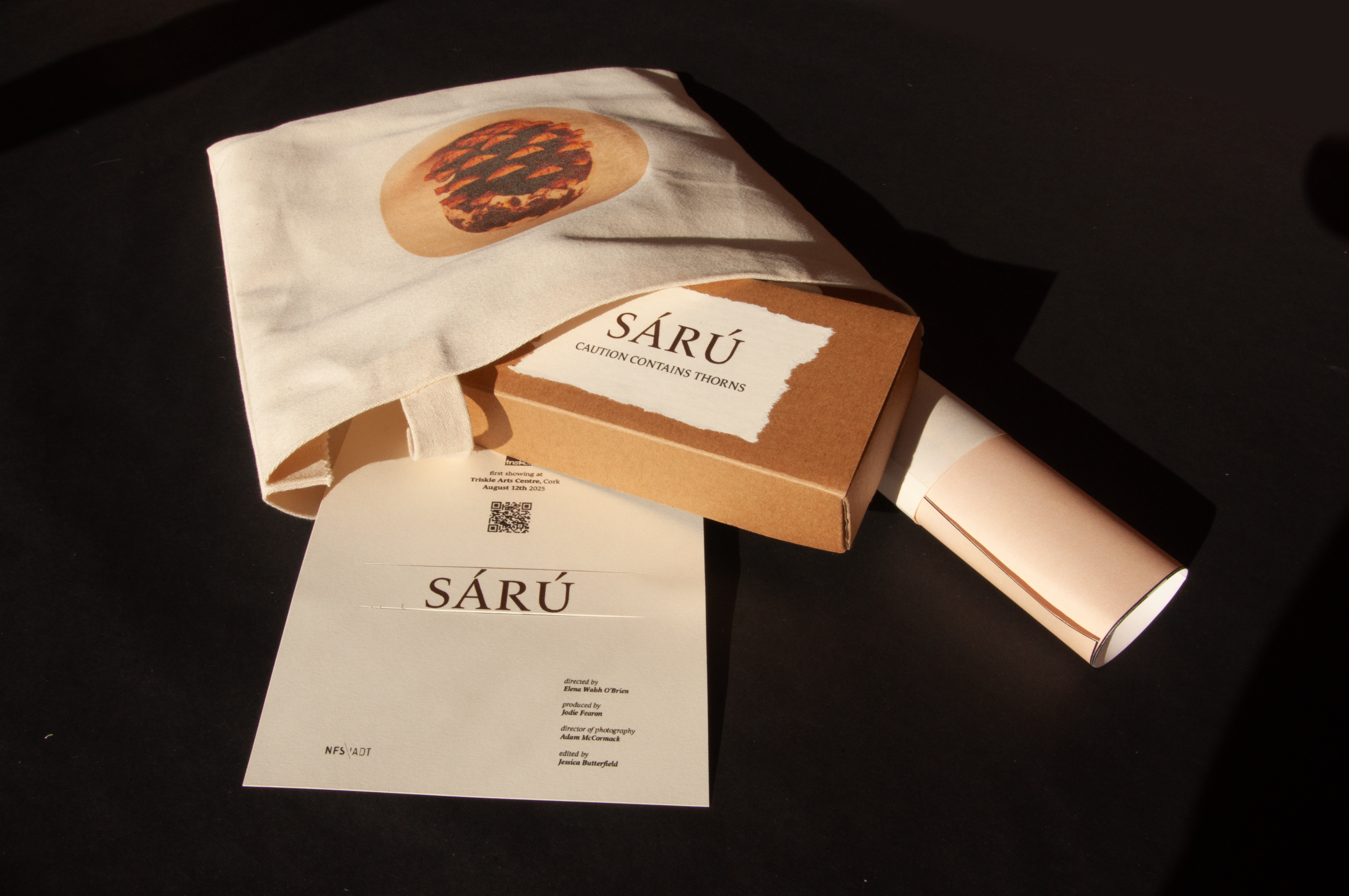 photograph of the gift bag and contents including poster roll, card, and box